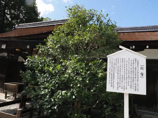 下鴨神社