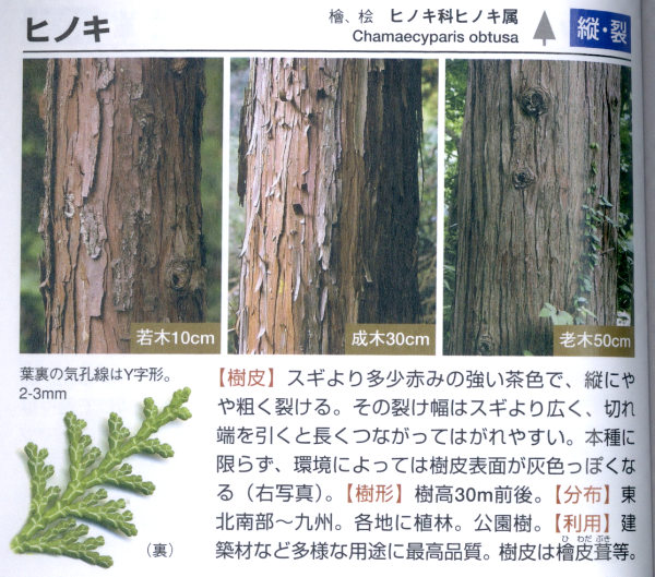 p.20