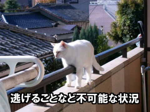 じわじわ来る画像くださいｗｗｗｗｗｗｗ4