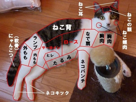 何で保存したんだろうっていうシュールな画像