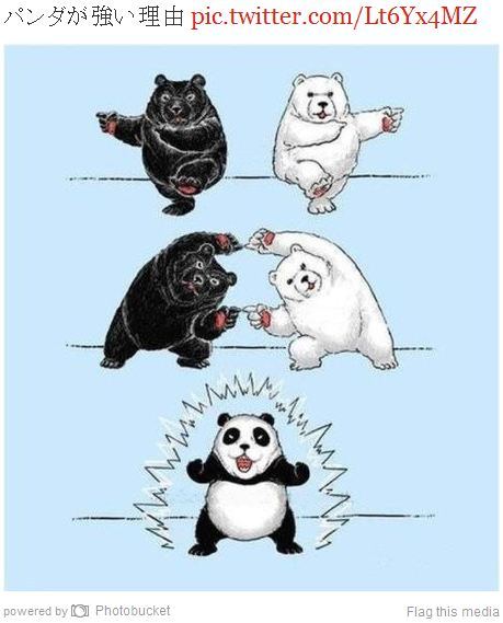 panda